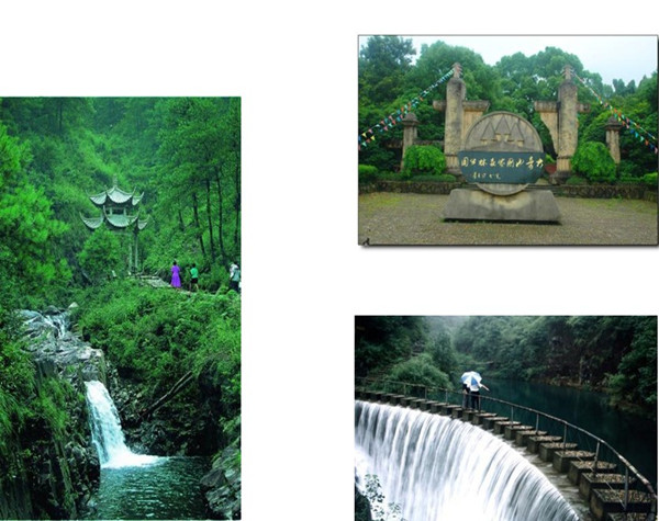 桐廬大奇山培訓基地
